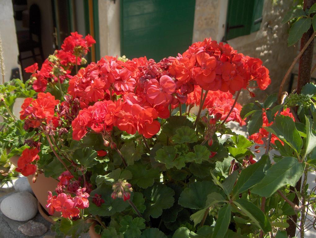 Guest House Lucijo Vrboska Luaran gambar